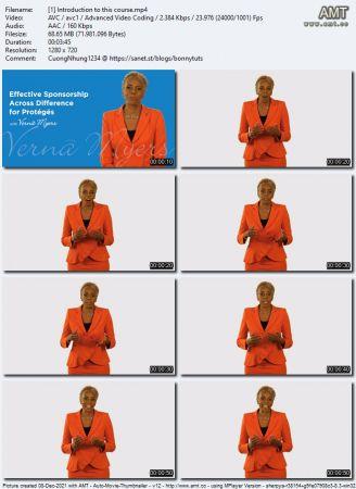 Linkedin Effective Sponsorship Across Difference for Protégés