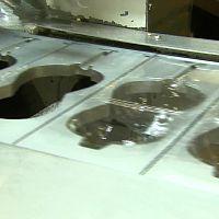 Tucker Carlson Originals S02E08 The End of Men 1080p WEB h264 SiLENTWAR TGx