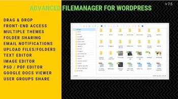 DesignOptimal CodeCanyon File Manager Plugin For Wordpress v7 5 2 2640424