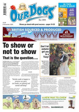 FreeCourseWeb Our Dogs 06 November 2020