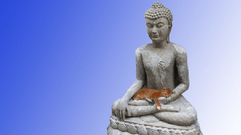 FreeCourseWeb Udemy Zen Buddhism 101 Awaken Your Natural Joy