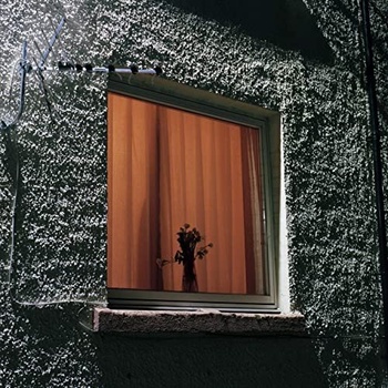 Wyldest Monthly Friend 2021 Mp3 320kbps PMEDIA