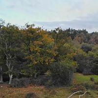 The Vikings Invasion S01E03 Conquest 1080p HDTV H264 DARKFLiX TGx