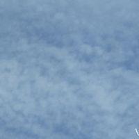 VivThomas 23 03 14 Sofi Vega And Nata Ocean Lesson In Pleasure XXX 1080p HEVC x265 PRT XvX