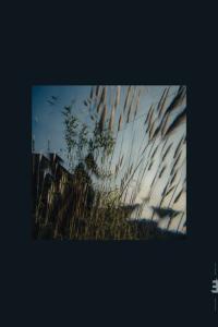 Slowly Rolling Camera Flow 2023 Mp3 320kbps PMEDIA