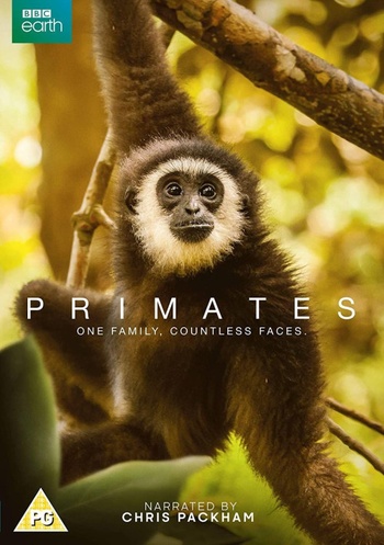 Primates 2020 S01 720p 10bit MiXED x265 budgetbits
