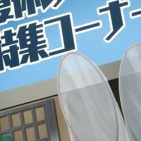 Kakkou no Iinazuke 21 480p Multiple Subtitle 154D70FE Erai raws TGx