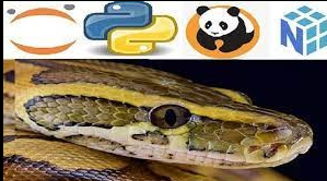 Udemy Python Bootcamp for Data Science 2021 Numpy Pandas Seaborn TP