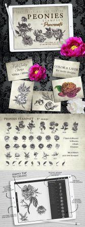 DesignOptimal CreativeMarket Procreate Peonies Stampset 4680116