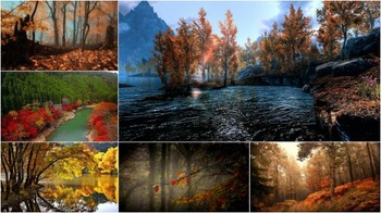 DesignOptimal Fall scenery wallpapers Pack 48