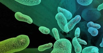 FreeCourseWeb Udemy Biology Foundation Course Become master in basics of biology