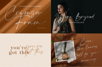 DesignOptimal Crimson Foam Chic Stylish Font