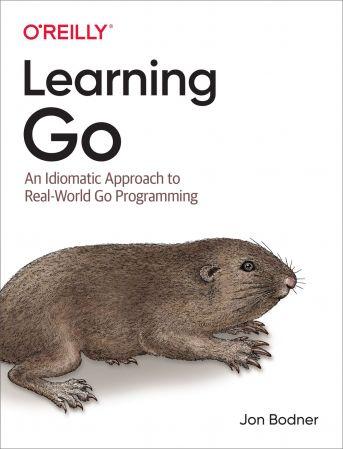 DevCourseWeb Learning Go An Idiomatic Approach to Real World Go Programming True EPUB