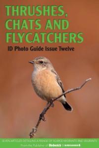 Bird ID Photo Guides Thrushes Chats and Flycatchers 2023 CourseWikia