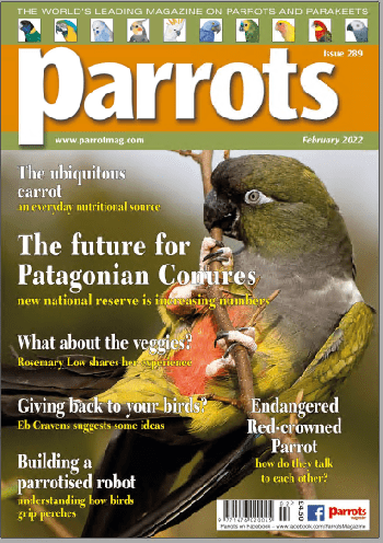 Parrots magazine Issue 289 February 2022