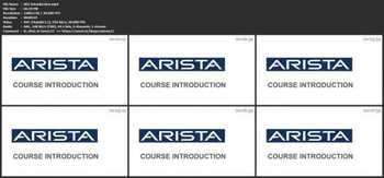 Udemy MLAG and EVPN VXLAN Technology in ARISTA