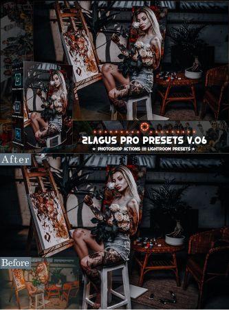 DesignOptimal PRO Presets V 06 Photoshop Lightroom