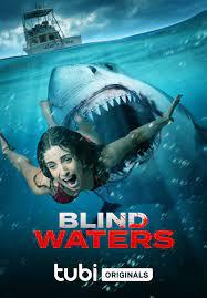Blind Waters 2023 720p WEBDL AVC AAC E Sub DUSIcTv mkv