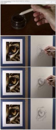 Skillshare Develop More Realism in Your Drawings Glassy Eye in Graphite Pencil