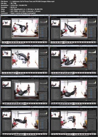 FreeCourseWeb Master the Dress Toss