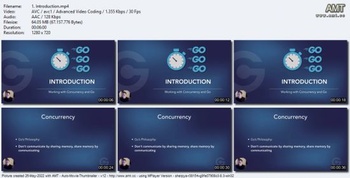 Udemy Working with Concurrency in Go Golang