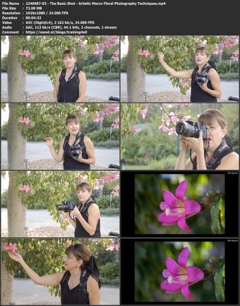 FreeCourseWeb KelbyOne Artistic Macro Floral Photography Techniques