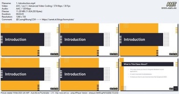 Udemy Database Technologies for the Flutter Framework