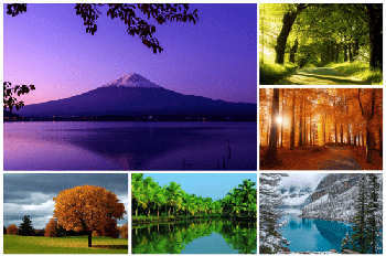 DesignOptimal Amazing Natural Wallpapers 5k 18