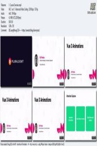 Vue 3 Animations DevCourseWeb