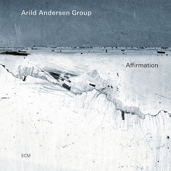 Arild Andersen Group Affirmation 2022 24Bit 96kHz FLAC PMEDIA