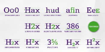 DesignOptimal Basil Font Family