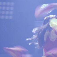 Tokyo Idol Festival 2023 Day 1 Doll Factory BPM 1080p WEB H264 DARKFLiX TGx