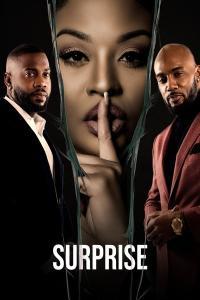 Surprise 2023 TUBI WEB DL AAC 2 0 H 264 PiRaTeS TGx