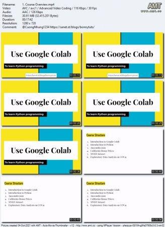 Udemy Use Google Colab to Learn Python Programming