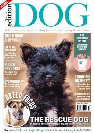 Edition Dog Issue 43 2022