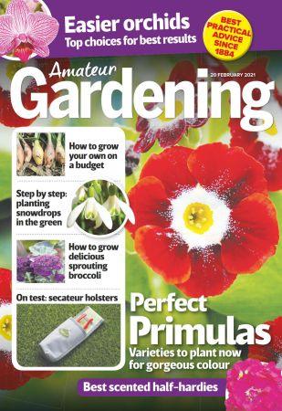 DevCourseWeb Amateur Gardening February 20 2021