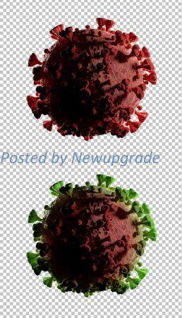 DesignOptimal Microscopic View of Coronavirus Disease Mockup 333270178