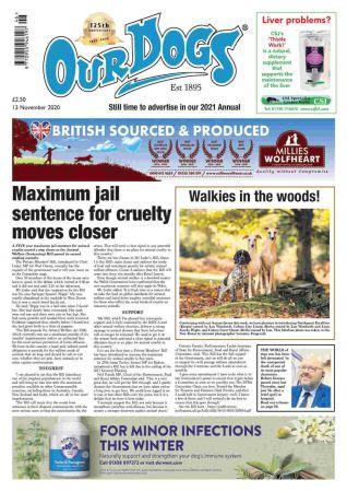 DevCourseWeb Our Dogs 13 November 2020