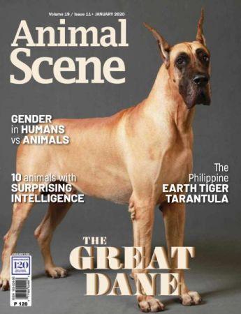FreeCourseWeb Animal Scene January 2020