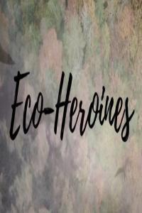 Eco Heroines Deidre and the Kakapo 1080p HDTV x265 AAC MVGroup org mkv