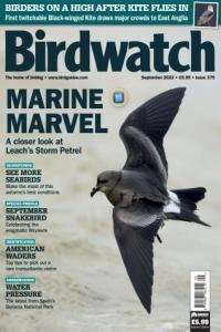 Birdwatch UK Issue 375 September 2023 FreeCourseWeb