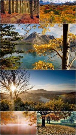 DesignOptimal Fall scenery wallpapers Pack 36