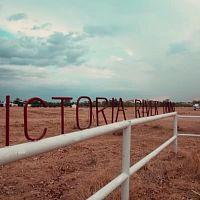 Monster Croc Wrangler Compilations S04E02 HDTV x264 PHOENiX