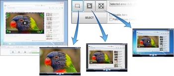 NCH Software Debut Professional v5 59 AMPED