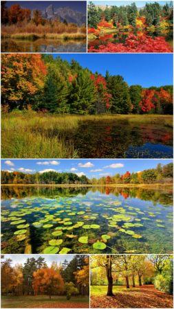 DesignOptimal Fall scenery wallpaper Pack 35