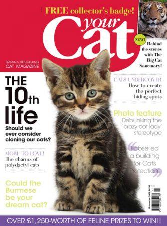 FreeCourseWeb Your Cat November 2019
