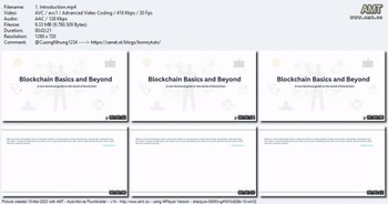 Udemy Blockchain Basics and Beyond