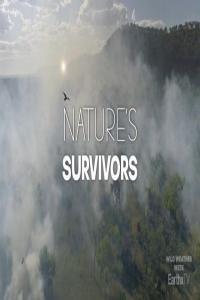 Nature s Survivors 1080p HDTV x265 AAC MVGroup org mkv