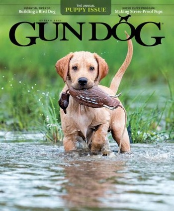 DevCourseWeb Gun Dog Spring 2021 True PDF