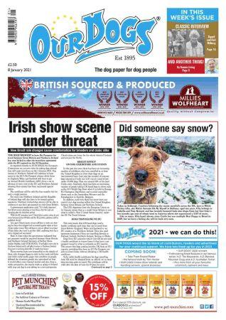 DevCourseWeb Our Dogs 08 January 2021